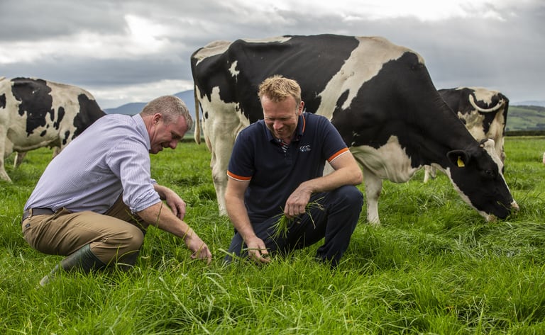 Farm to Fridge: Why Locally Sourced Dairy Tastes Better